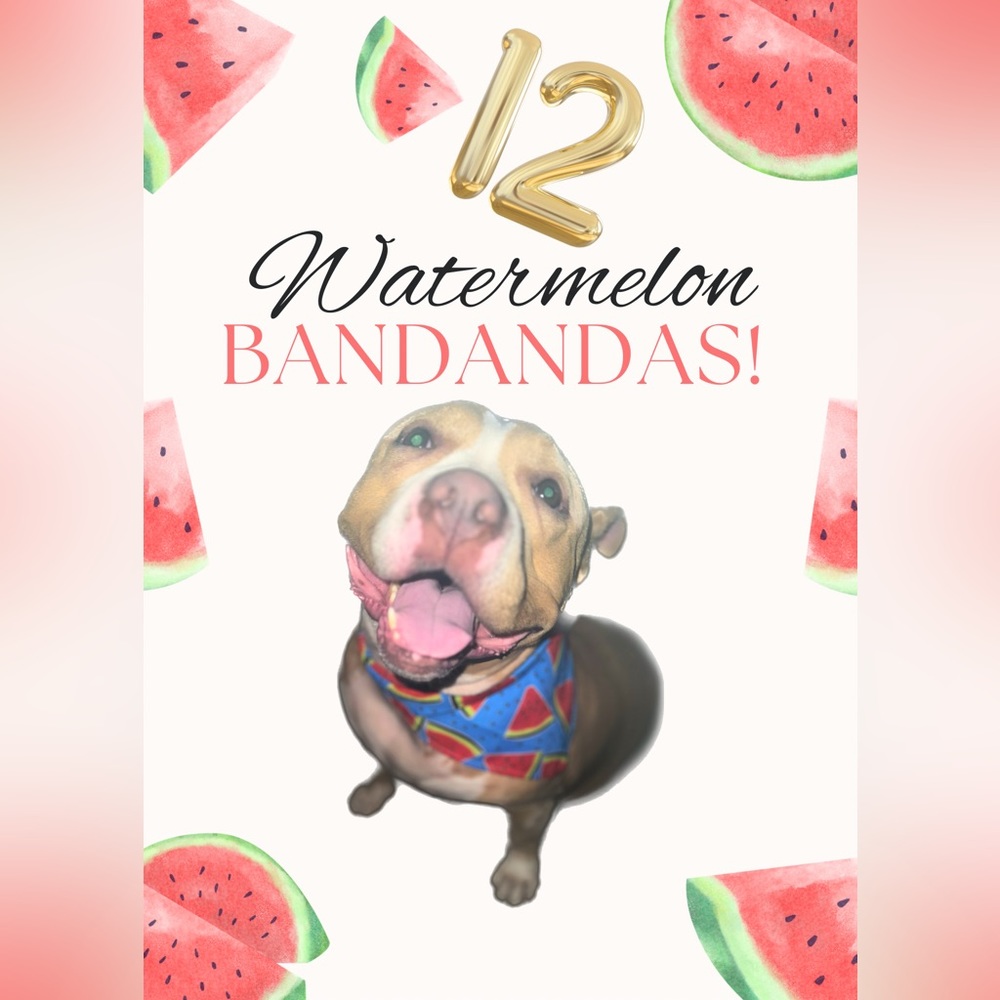 🍉 Fresh Fruit Watermelon Themed Pet Cat Dog Bandana For Boys Girls Unisex OSFM